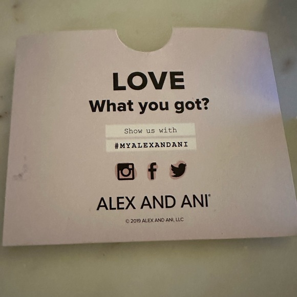 Alex and Ani color infusion Bah Humpug Bangle Bracelet - Picture 3 of 6